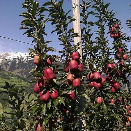 Zimmervermietung Groeberhof سكين المظهر الخارجي الصورة