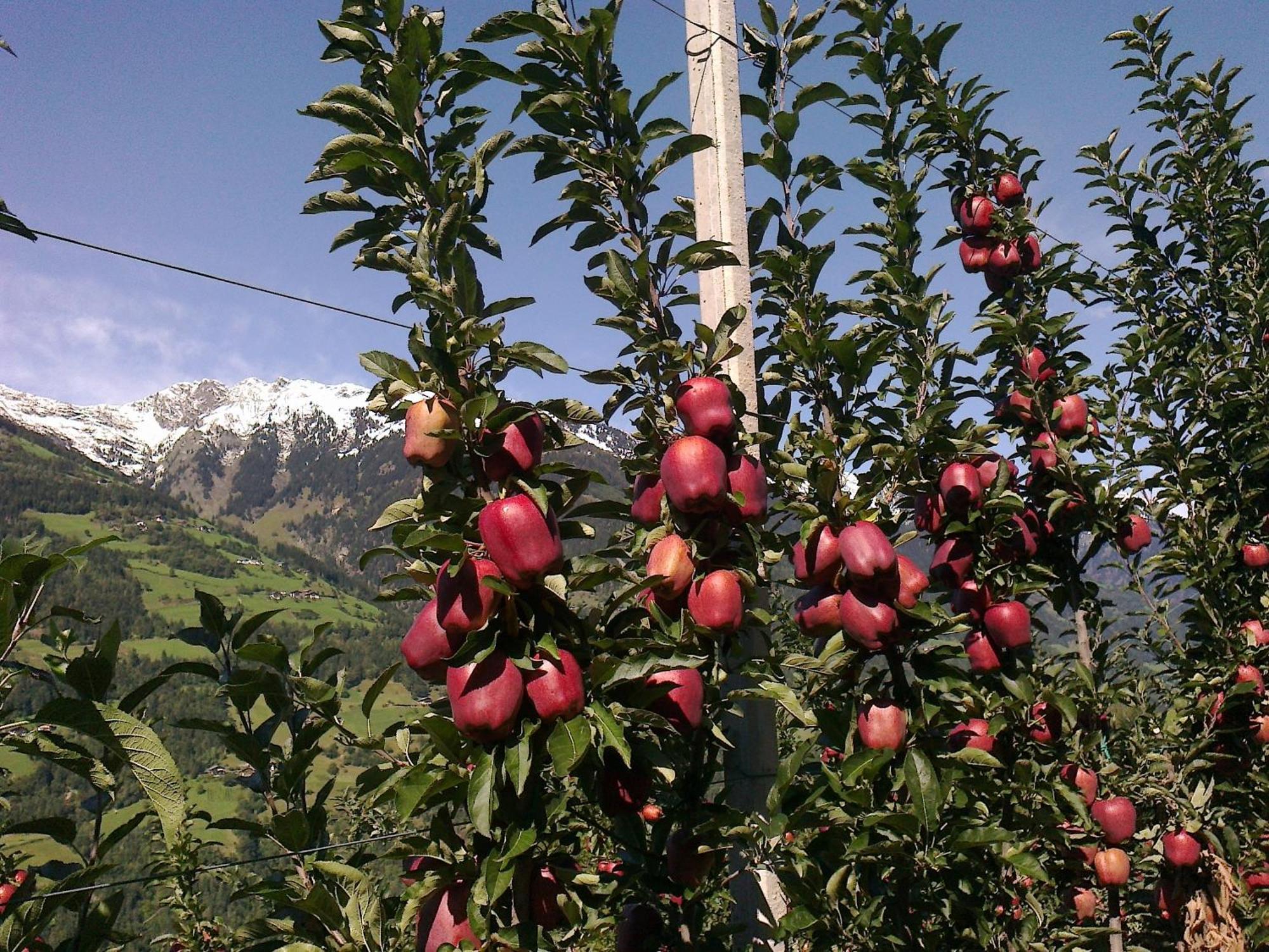 Zimmervermietung Groeberhof سكين المظهر الخارجي الصورة