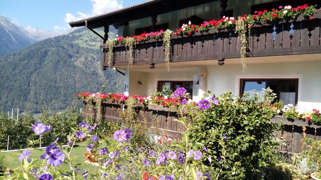 Zimmervermietung Groeberhof سكين المظهر الخارجي الصورة