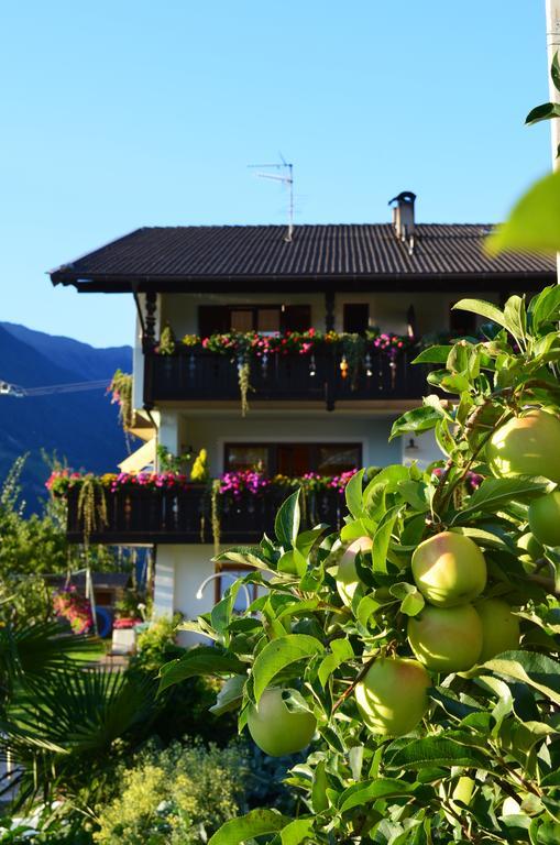 Zimmervermietung Groeberhof سكين المظهر الخارجي الصورة